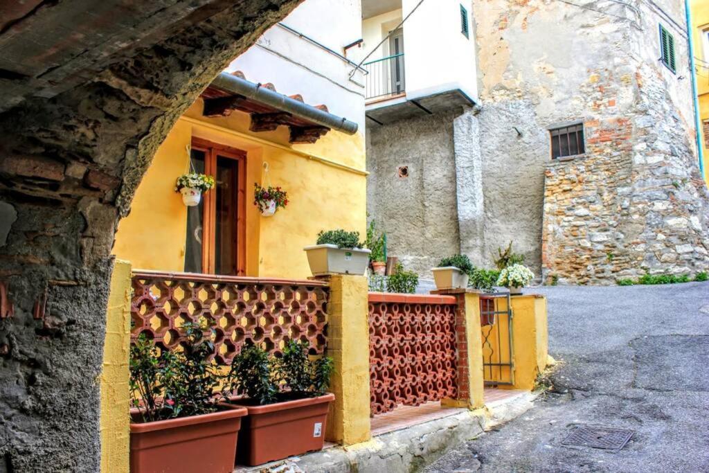 Panoramic And Beautiful House 4km From The Sea. * Rosignano Marittimo