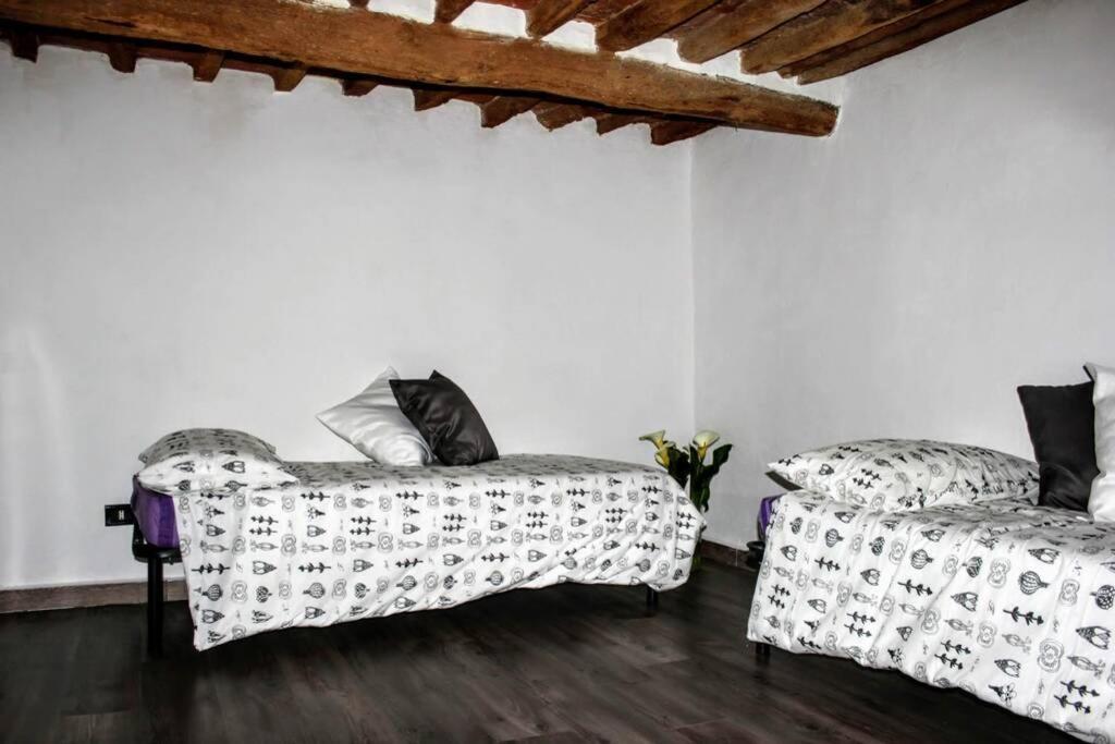 Panoramic And Beautiful House 4km From The Sea. * Rosignano Marittimo